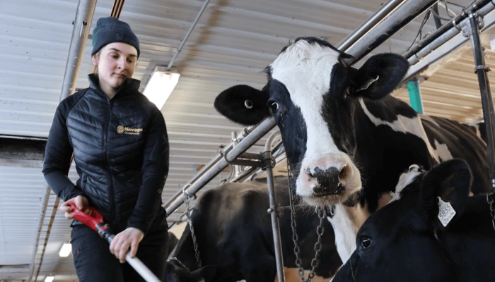 Marie St-Amant qui travaille à repousser l'ensillage
