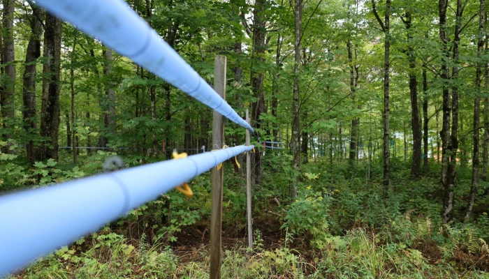 Tubulure d'érablière