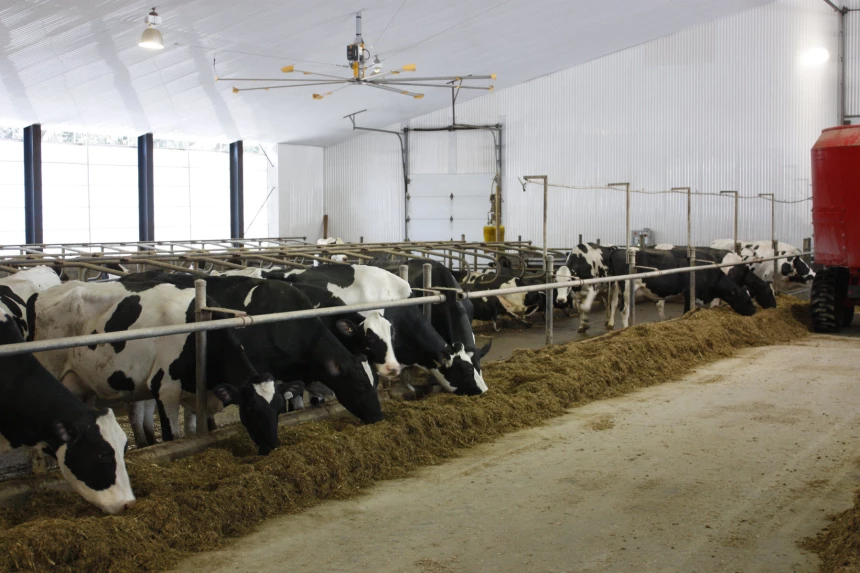 reportage lait 3 - copie