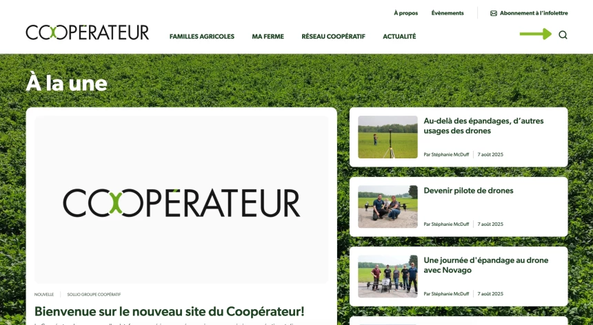 Site web Cooperateur - Loupe