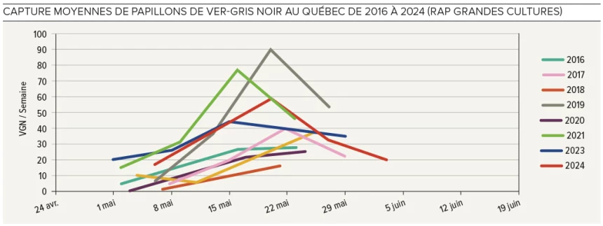 Graphique sur les capture de papillons de vers gris