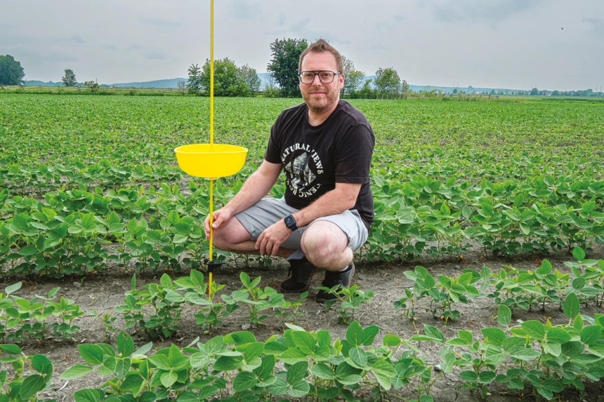 Sébastien Boquel prépare ses pièges de bols jaunes pour récolter des pucerons au cours de l’été 2025.