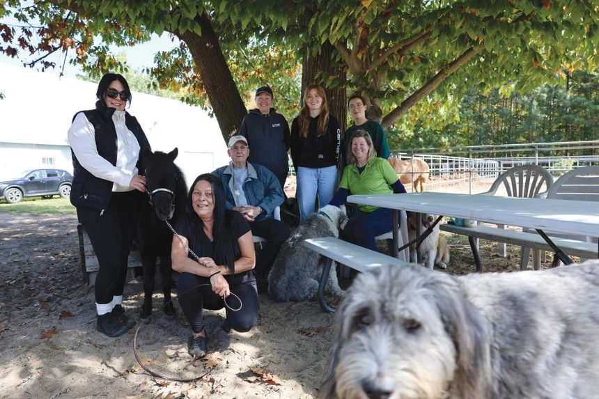 L'arbre de la sagesse