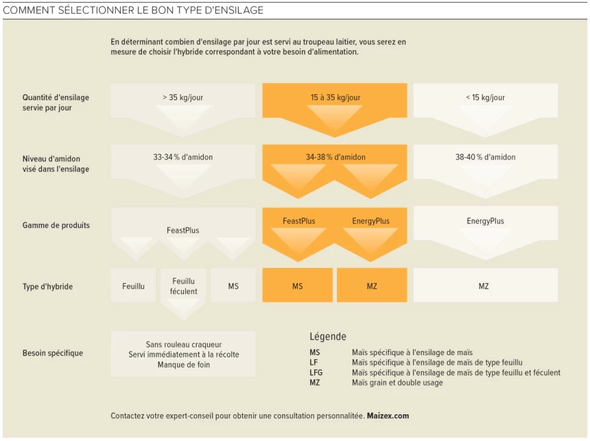Graphique expliquant comment sélectionner le bon type d'ensilage