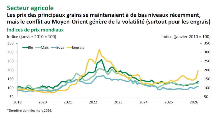 Graphique sur les prix des principaux grains