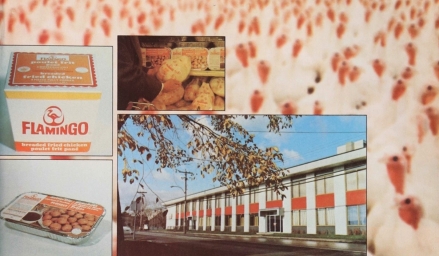 Visuel avicole de 1976