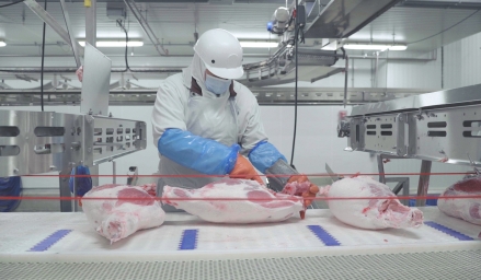 Travail de découpe dans une usine d'Olymel
