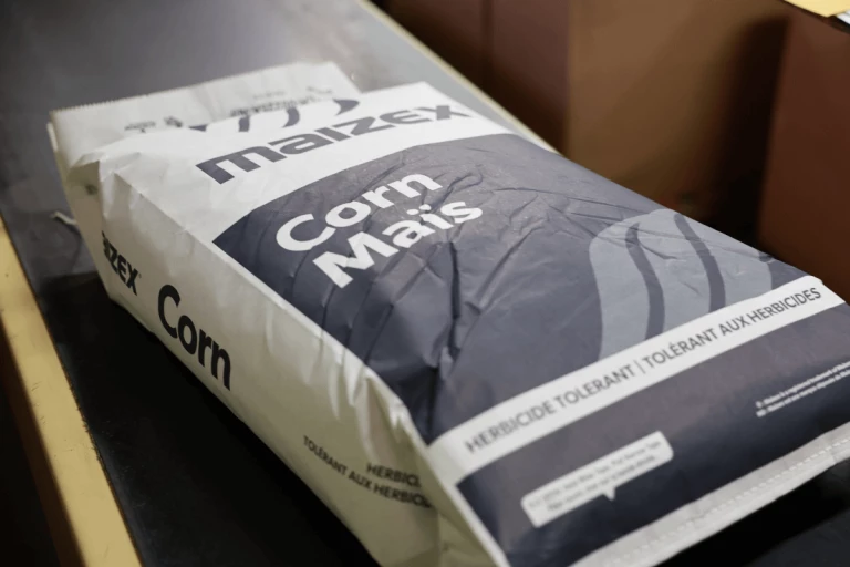 Sac de maïs Semences Maizex