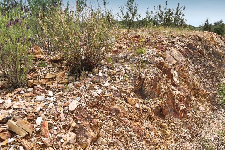Le sol de la Quinta do Francês