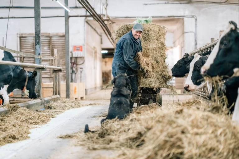 Bernard de la Ferme M.B. Pelletier