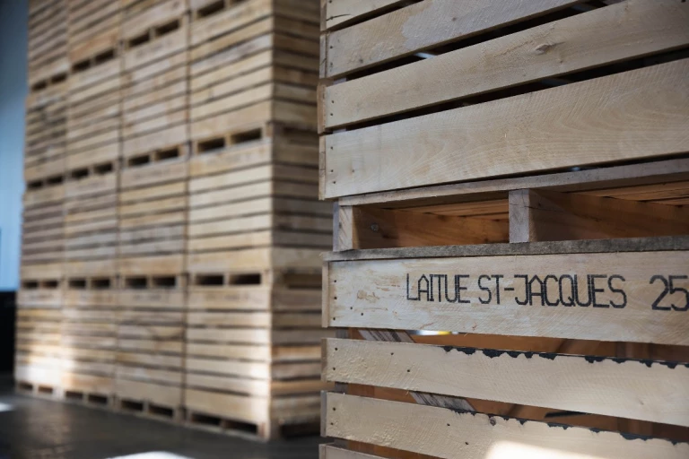 Boîtes de Laitue St-Jacques