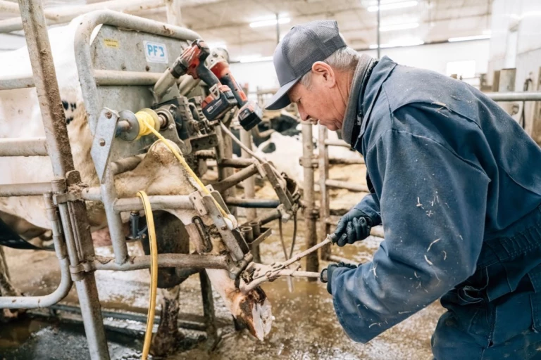 Mario taillant les onglons à la Ferme M.B. Pelletier