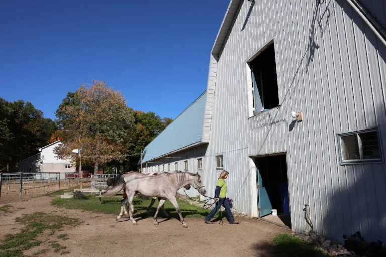 Tammy Wilson entrant à l'écurie