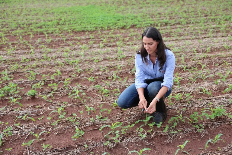 Aline Vick dans son champ de soya