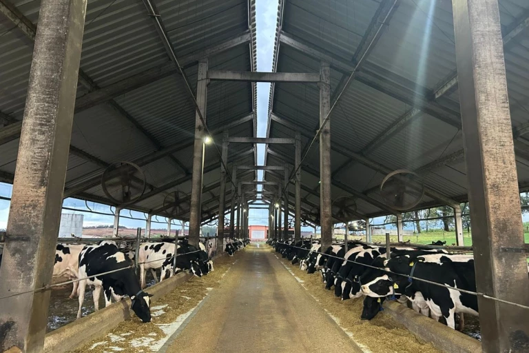 L'étable de la ferme Letti A2