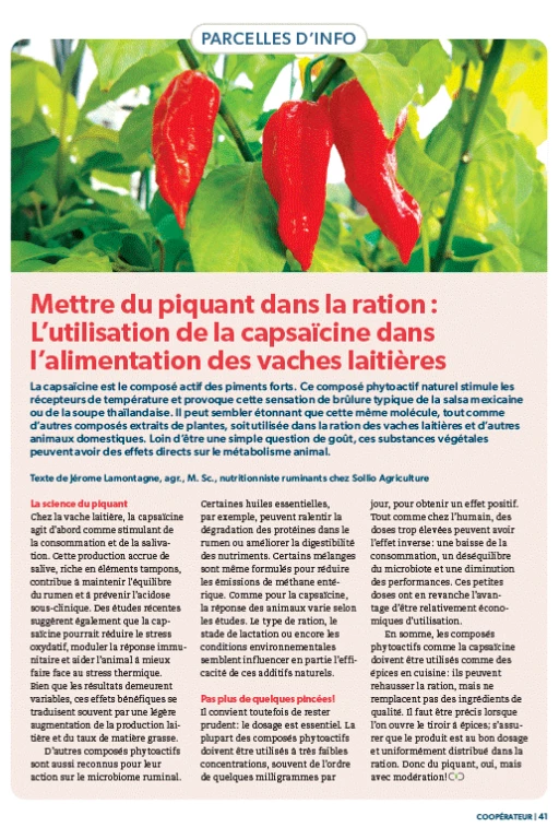 Page 41 du Coopérateur de janvier-février 2026