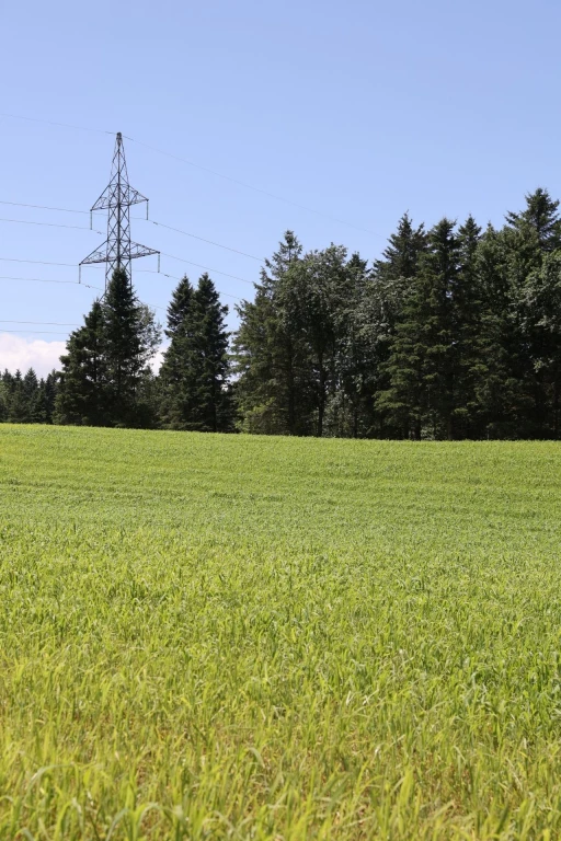 Prairies de la Ferme Marico