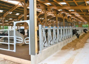 Logettes, de carcans et d’enclos en acier d'Agritubel