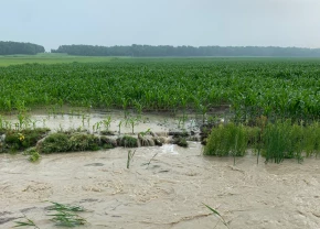 Champ inondé
