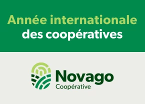 Logo de l'Année internationale des coopératives et logo de Novago Coopérative