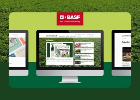 Écrans d'ordinateur qui présentent le cooperateur.coop