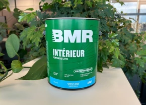Pot de peinture BMR Intérieur