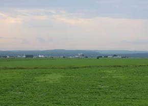 Paysage de champ verts avec des longues parcelles horizontales.